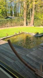 Blauwe steen voor vijver bebording, Tuin en Terras, Vijvers, Ophalen, Gebruikt