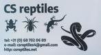 levende voedermuizen en ratten te koop bij csreptiles Venlo, Dieren en Toebehoren, Ophalen of Verzenden