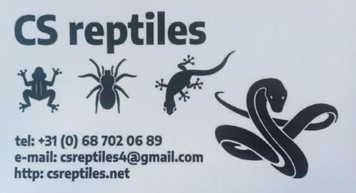 levende voedermuizen en ratten te koop bij csreptiles Venlo, Dieren en Toebehoren, Reptielen en Amfibieën | Toebehoren, Ophalen of Verzenden