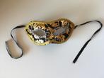 oogmasker / gezichtsmasker (gemaskerd bal), Kinderen en Baby's, Carnavalskleding en Verkleedspullen, Ophalen of Verzenden, Zo goed als nieuw