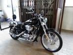 Harley-Davidson Sportster XL1200C (bj 2008), Motoren, Bedrijf, 883 cc, Meer dan 35 kW, Overig