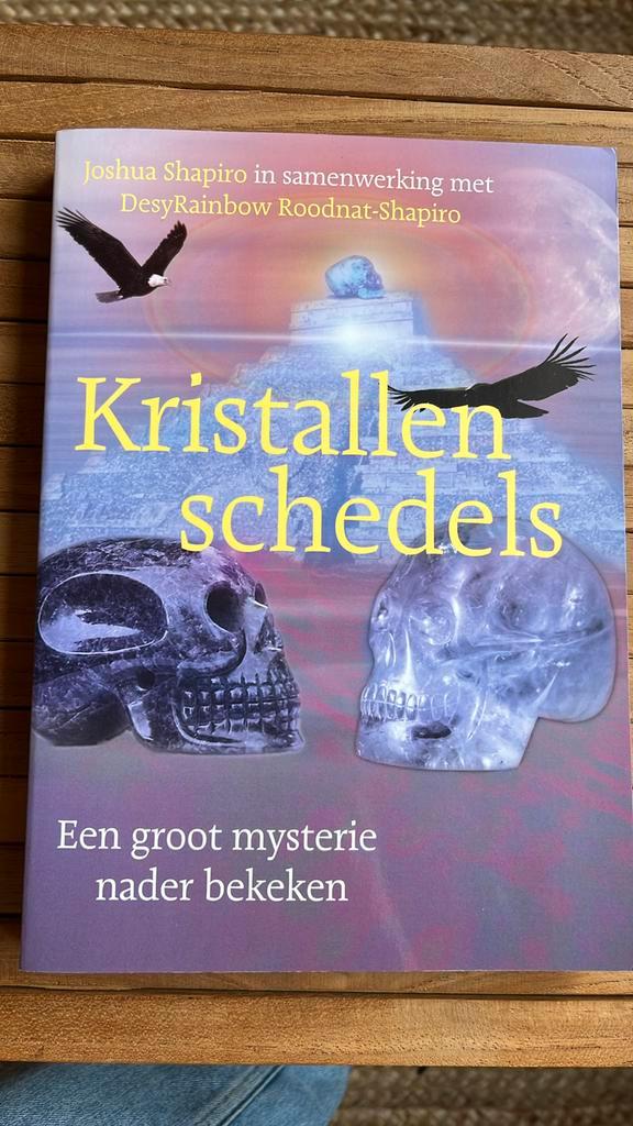 Jeff Shapiro - Kristallen schedels, Boeken, Esoterie en Spiritualiteit, Zo goed als nieuw, Ophalen of Verzenden