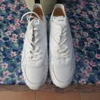 Sneakers nieuw wit Tod's mt 42, Wit, Nieuw, Ophalen of Verzenden, Sneakers