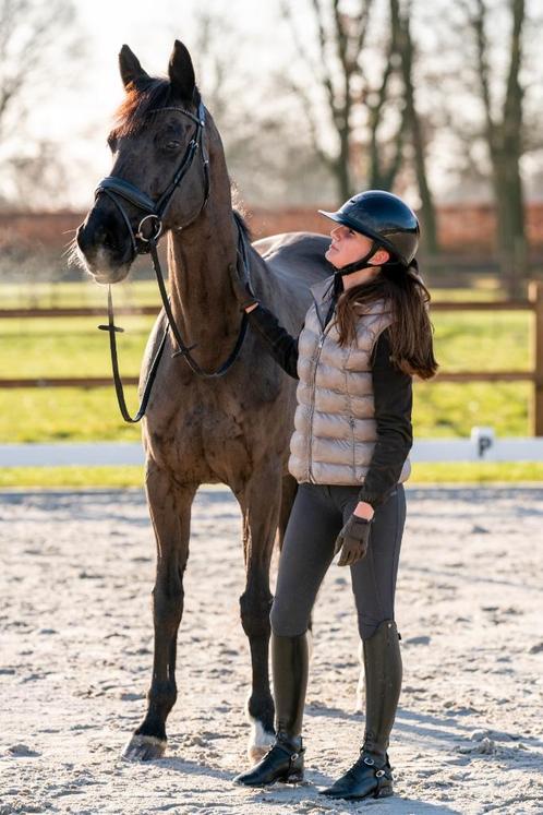 Privé paardrijles, Dieren en Toebehoren, Paarden, Meerdere dieren, L
