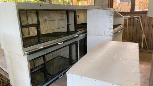 Vogelkooien, Dieren en Toebehoren, Vogels | Hokken en Kooien, Gebruikt, Broedkooi of Kweekkooi, Hout, Ophalen