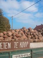 Voederbieten afgehaald/thuis gebracht, Ophalen