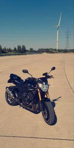 Yamaha FZ8, Naked bike, 4 cylindres, Particulier, Plus de 35 kW