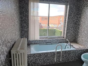 Retro lichtblauwe badkamer (bad, lavabo, bidet)