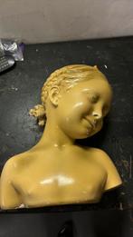 Buste platre ciré, Enlèvement