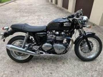 THRIUMPH 900 THRUXTON T100, Plus de 35 kW, 2 cylindres, 900 cm³, Sport