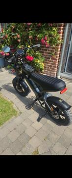 Fatbike v20mini 257km, Enlèvement