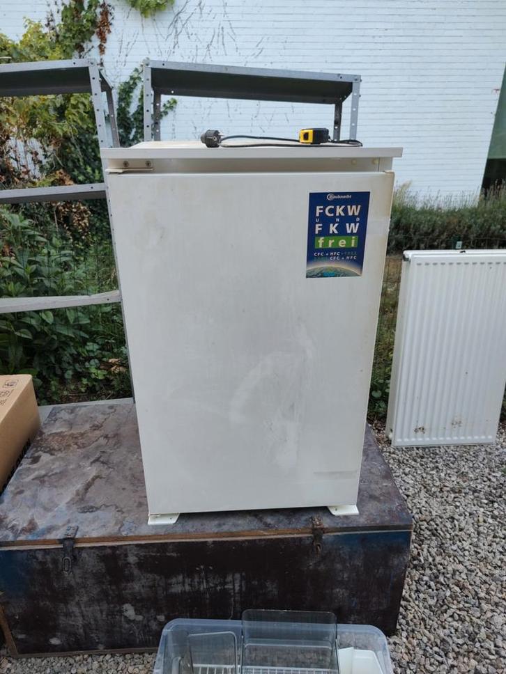 Koelkast, Elektronische apparatuur, Vriezers en Diepvrieskisten, Inbouw, Ophalen