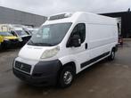 Fiat Ducato Koelwagen (221), Auto's, Fiat, Monovolume, 2287 cc, Wit, Te koop