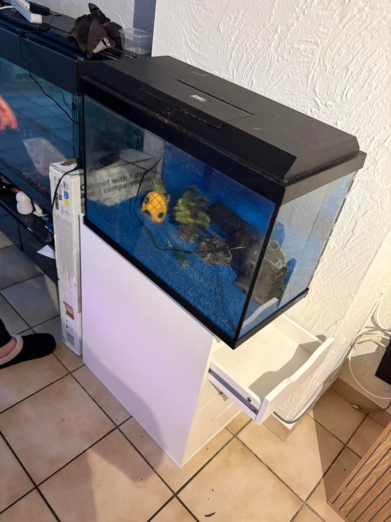 Aquaruim 60liter, Enlèvement, Comme neuf