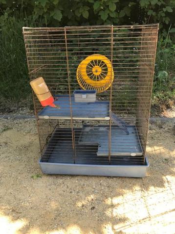 Cabane pour hamsters, Enlèvement