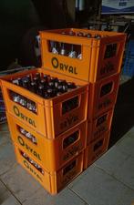 Orval, 5 jaar oud., Diversen, Levensmiddelen, Ophalen