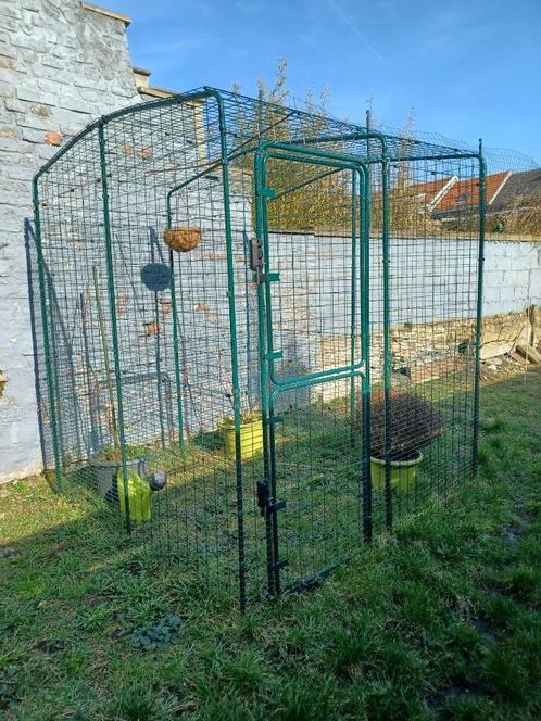 Cage extérieure pour chats, Dieren en Toebehoren, Katten-accessoires, Zo goed als nieuw, Ophalen