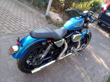 🏁 Uniek ! mooie Harley davidson🏁, Motoren, 2 cilinders, Chopper, 883 cc, Particulier