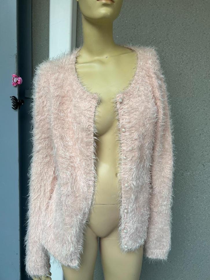 very simple 42, Kleding | Dames, Truien en Vesten, Zo goed als nieuw, Maat 42/44 (L), Overige kleuren, Ophalen of Verzenden