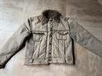 Vest Scapa maat 38, Kleding | Dames, Jasjes, Kostuums en Pakken, Scapa, Beige, Jasje, Ophalen