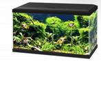 Aquarium 60 l, Dieren en Toebehoren, Ophalen, Zo goed als nieuw