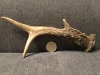 Ree Horn, Antiek en Kunst, Ophalen of Verzenden