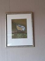 schilderij vogel, Antiek en Kunst, Kunst | Schilderijen | Klassiek, Ophalen