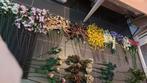 Vele nieuwe kunst bloemen, Ophalen