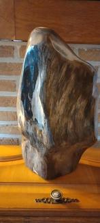 Versteend hout, Verzamelen, Ophalen