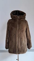 SAVE THE DUCK. (NEW 279€), Ophalen of Verzenden, Maat 38/40 (M)