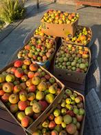 Pommes à vendre