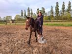 Training en zadelmak maken, Dieren en Toebehoren, Paarden, Zadelmak