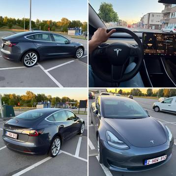 Tesla Model 3 Standard Range Plus, Cuir, Argent ou Gris, Achat, Euro 6