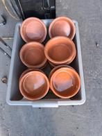 Eetpotten, Enlèvement