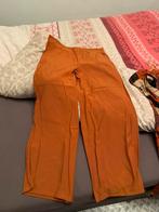 Dames broek katoen L, Kleding | Dames, Ophalen of Verzenden, Zo goed als nieuw, Bruin