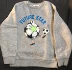 Trui mt 116/122, Ophalen of Verzenden, Zo goed als nieuw, Jongen, Trui of Vest