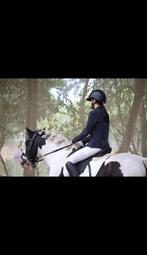 paard/ pony gezocht!, Dieren en Toebehoren, Paarden, Merrie, Minder dan 160 cm, 3 tot 6 jaar, Onbeleerd