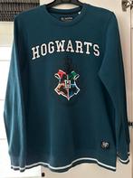 Trui Harry Potter Hogwarts maat 158-164, Kinderen en Baby's, Kinderkleding | Maat 158, Ophalen of Verzenden, Zo goed als nieuw