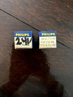2 ampoules halogène auto, Ophalen of Verzenden, Nieuw