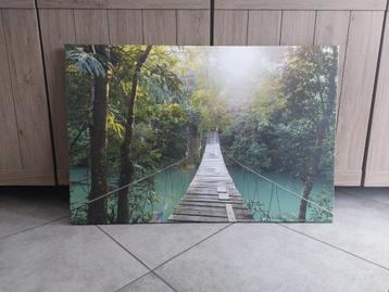 Canvas 9060 cm, Enlèvement ou Envoi, Neuf