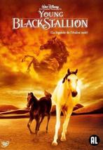 Young Black Stallion (2003) Dvd, Alle leeftijden, Ophalen of Verzenden, Gebruikt