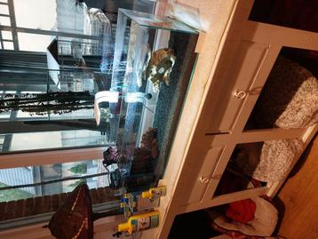 Aquarium  beschikbaar voor biedingen