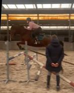 Super leuke en brave allrounder!, Dieren en Toebehoren, Paarden, Springpaard, B, Gechipt, Ruin