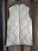 Lange bodywarmer Primark maat M, Comme neuf, Primark, Taille 38/40 (M), Autres couleurs