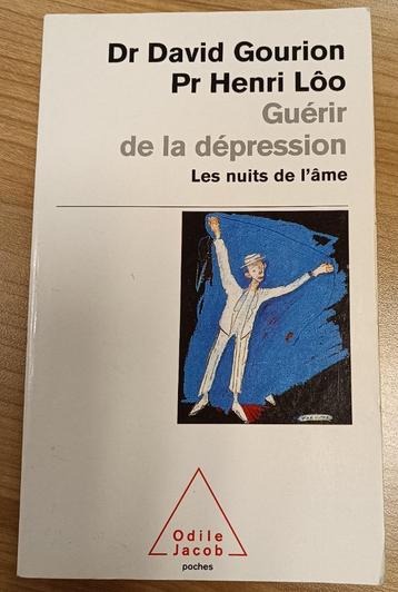 Guérir de la Dépression : Les nuits de l'Âme :Gourion et Lôo disponible aux enchères