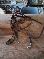 Teugels, Dieren en Toebehoren, Ophalen of Verzenden, Zo goed als nieuw