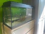 Aquarium te koop 84Liter, Dieren en Toebehoren, Vissen | Aquaria en Toebehoren, Ophalen, Zo goed als nieuw