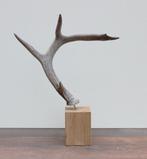 GEWEI WITSTAART HERT op houten sokkel, Enlèvement ou Envoi, Neuf, Cerf, Bois ou Tête