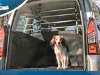 Hondenrek voor auto, Autos : Divers, Comme neuf, Enlèvement