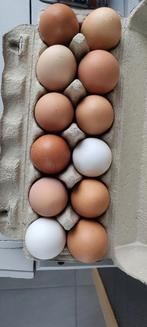 Œuf, Diversen, Ophalen